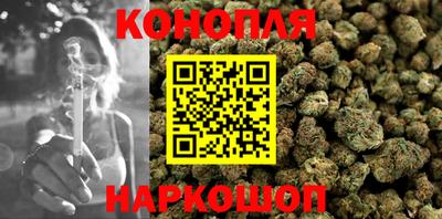гидра Беслан