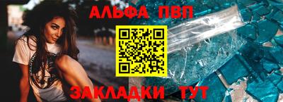 тгк Бийск