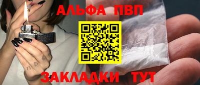 тгк Бийск